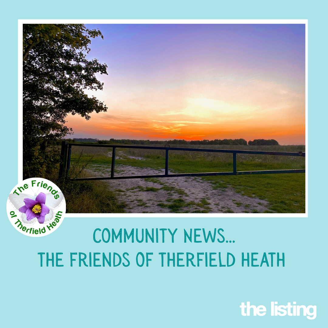 Community News: The Friends of Therfield Heath: May Update