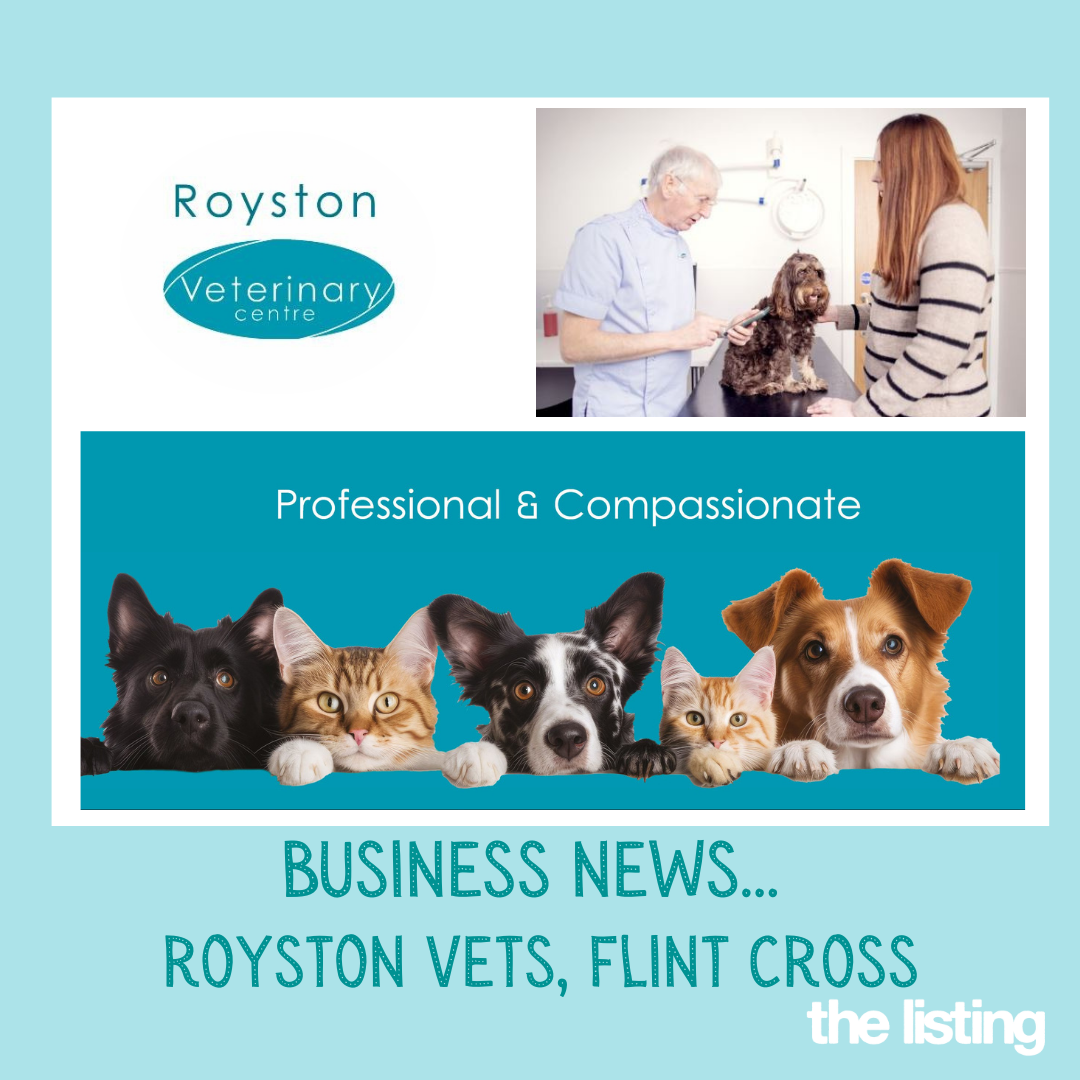 Monthly Update – Supporting Anxious Pets at Royston Veterinary Centre