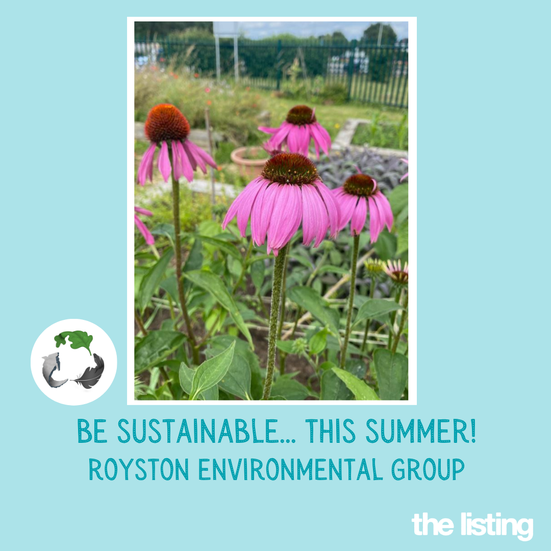 Royston Environmental Group: Be Sustainable this Summer