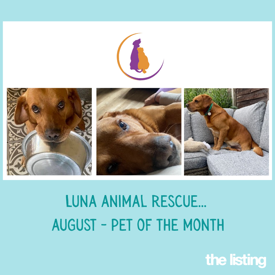 Luna’s August Pet Spotlight: Pet of the Month…