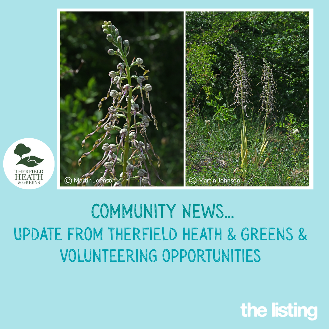 Community News: August News from Therfield Heath & Greens…