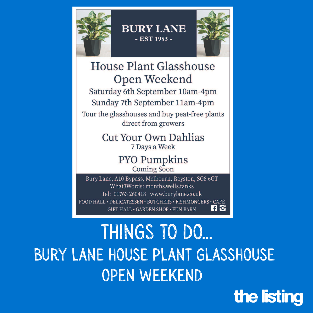 Things To Do: Bury Lane, Houseplant Glasshouse Open Weekend