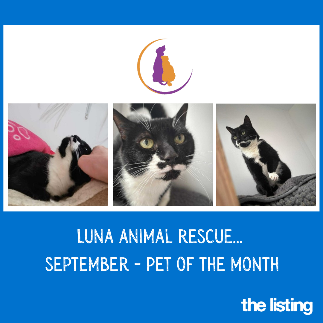 Luna’s September Pet of the Month… Meet Pearl!