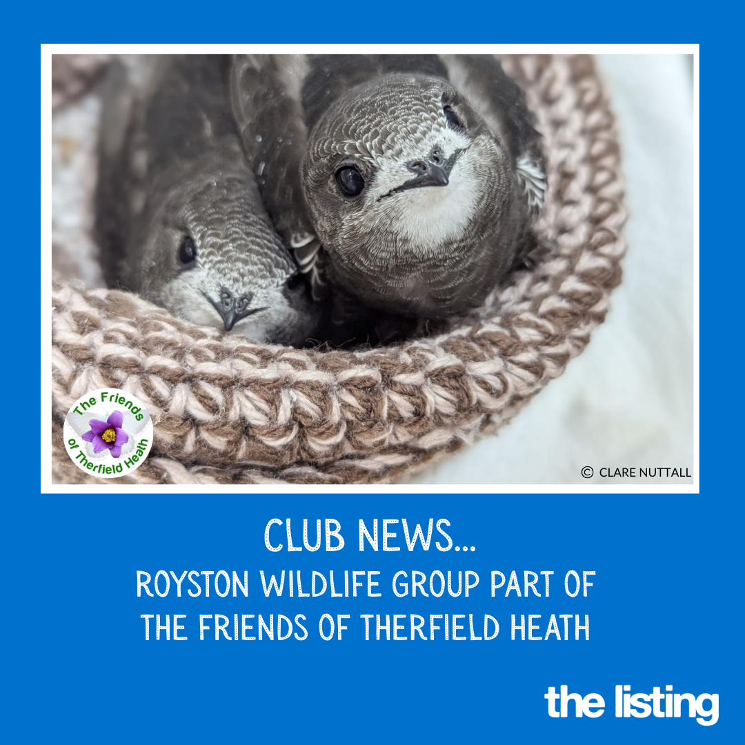Friends of Therfield Heath: Royston Wildlife Group Talk