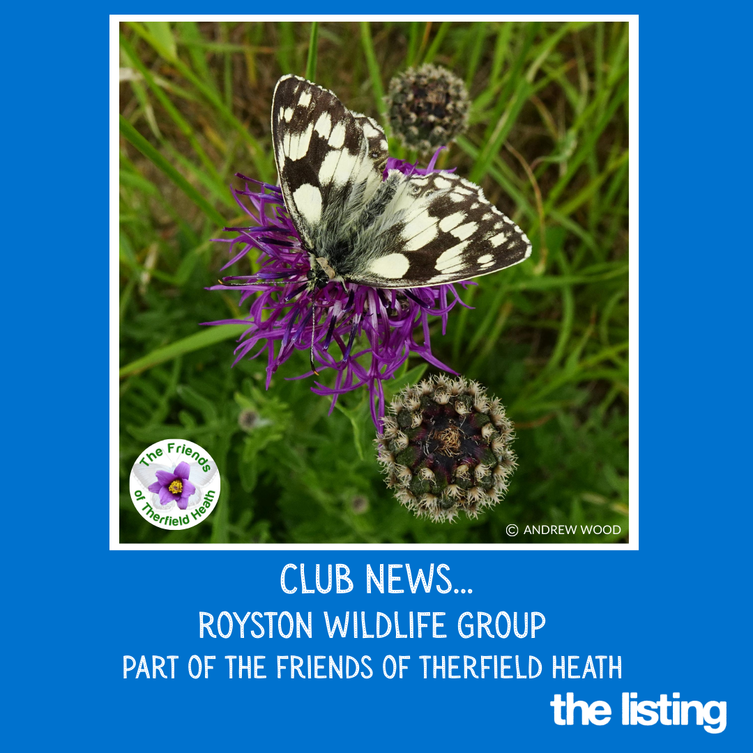 Friends of Therfield Heath: Royston Wildlife Group Talk