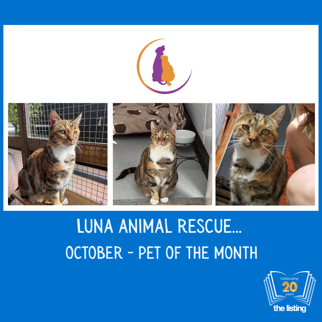 Luna October Pet of the Month… Meet Pearl!