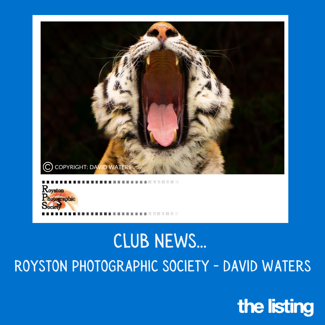 Club News: Royston Photographic Society: David Waters