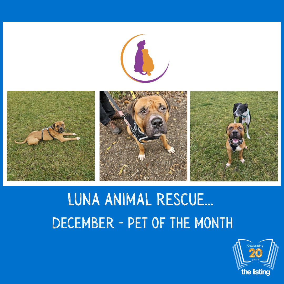 Luna December Pet of the Month… Meet Quip!