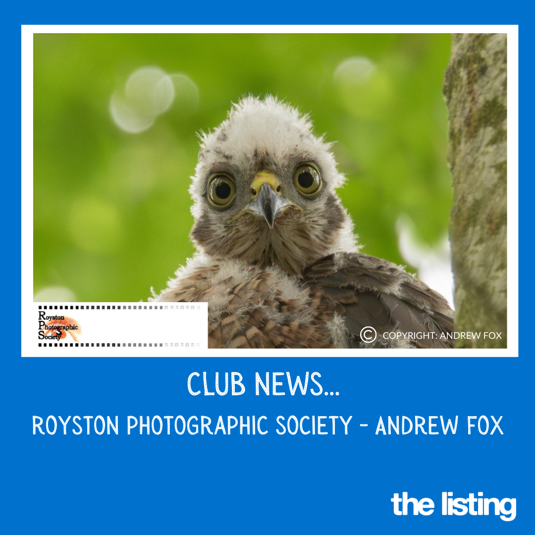 Club News: Royston Photographic Society: Andrew Fox