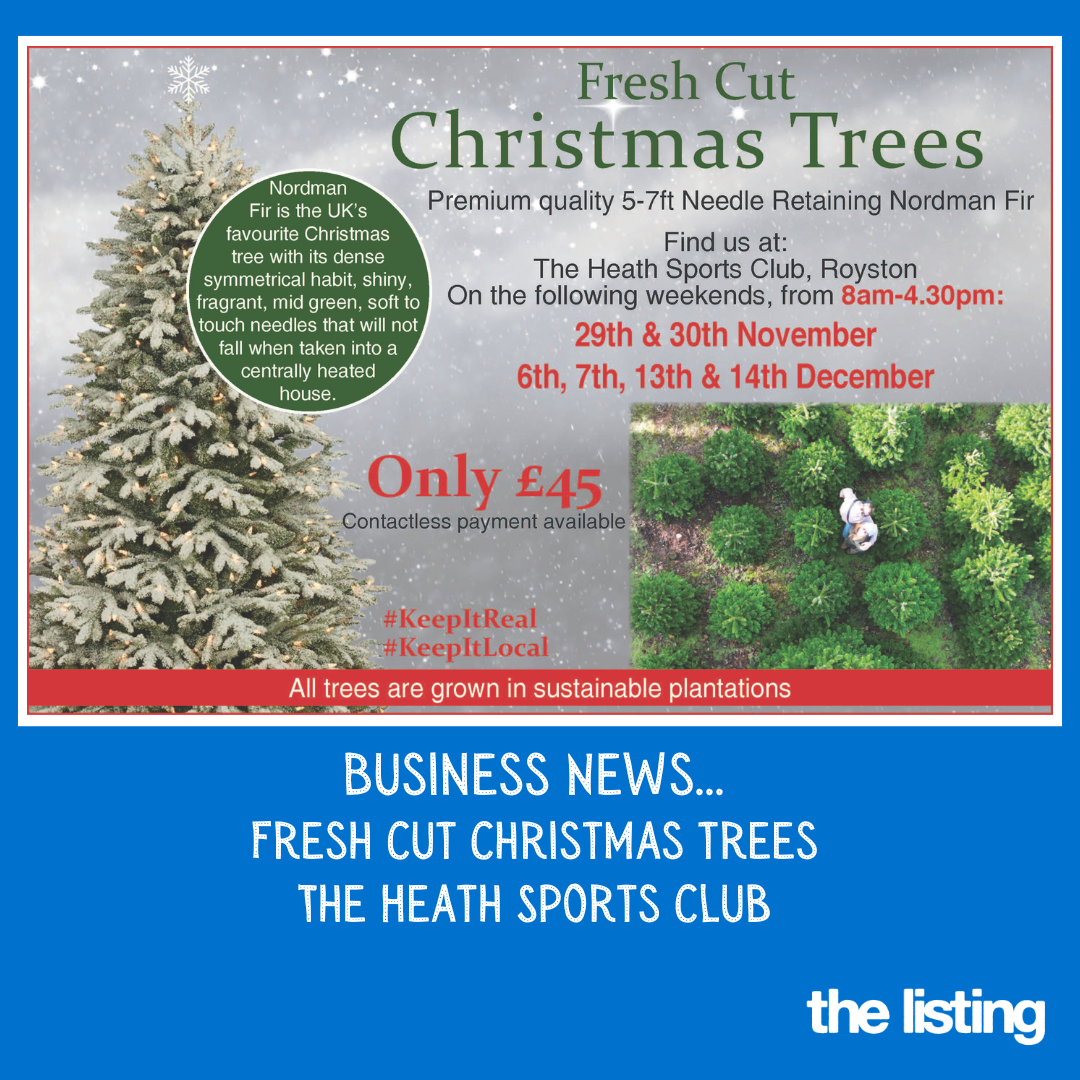 Business News: Nordman Fir Christmas Trees at Royston Heath Again This Year!