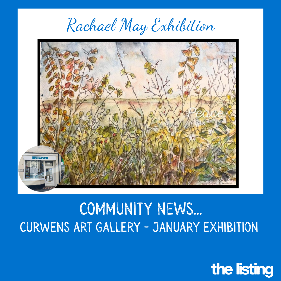 Community News: Curwens Solicitors Art Gallery Present: Rachel May this January