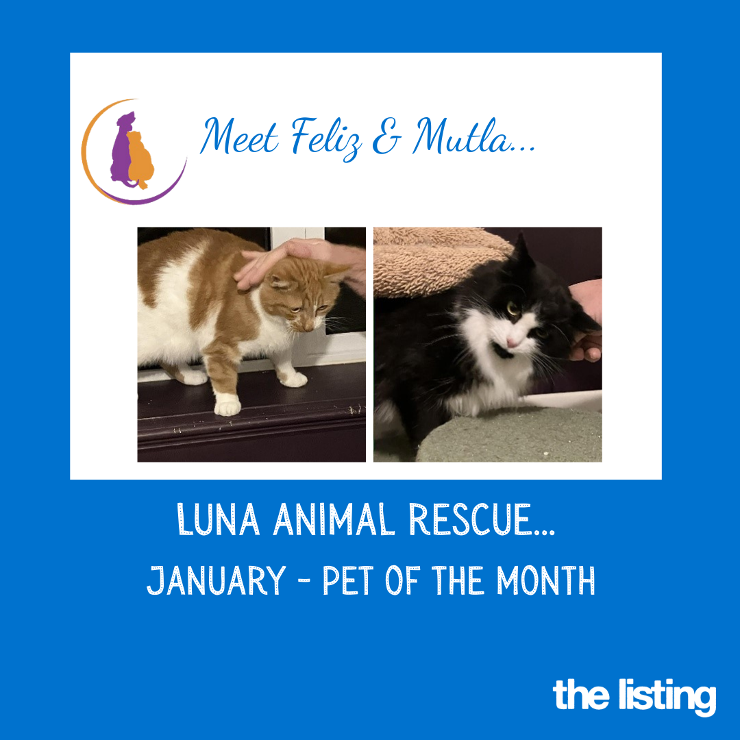 Luna January Pet of the Month… Meet Feliz and Mutla
