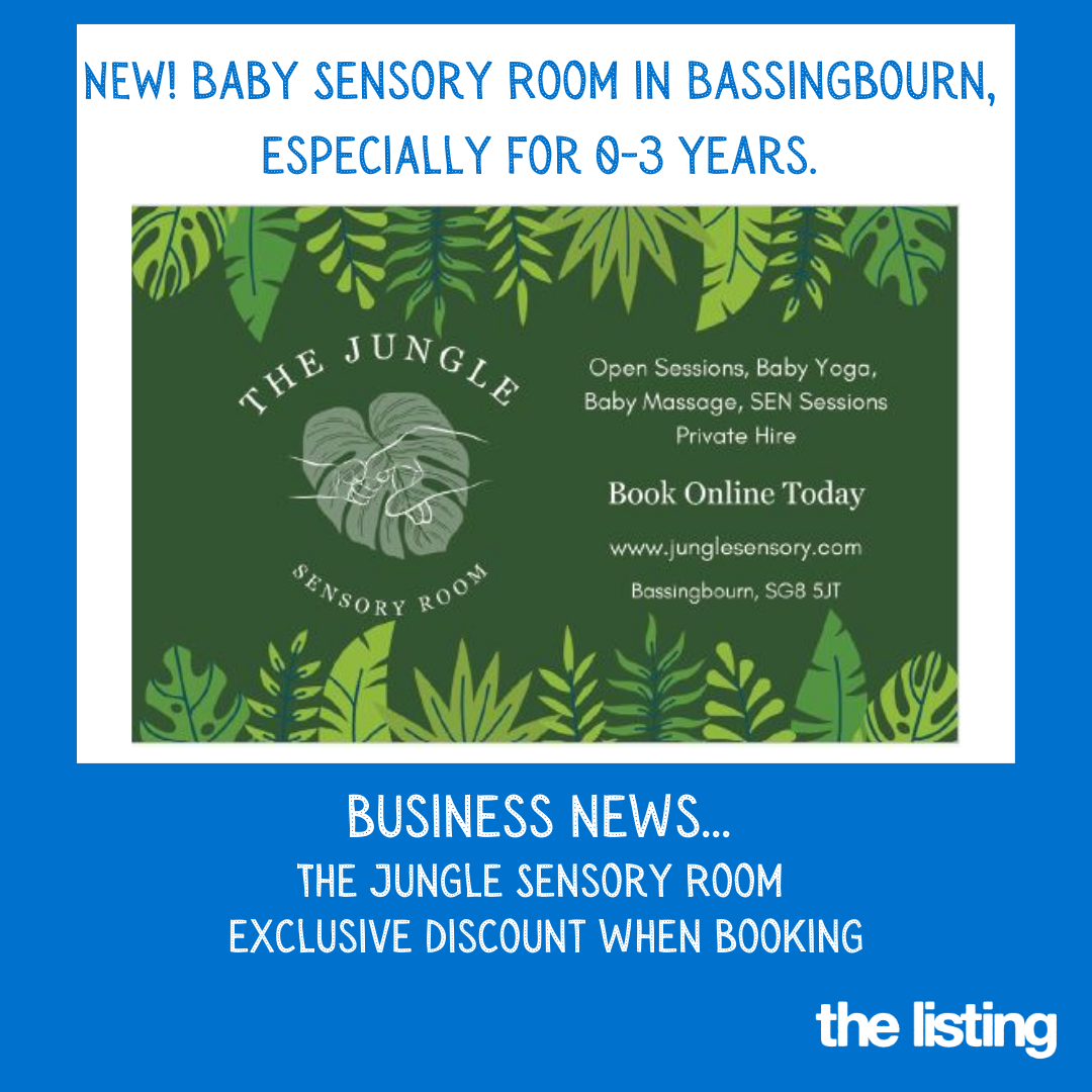 Business Profile: The Jungle Sensory Room