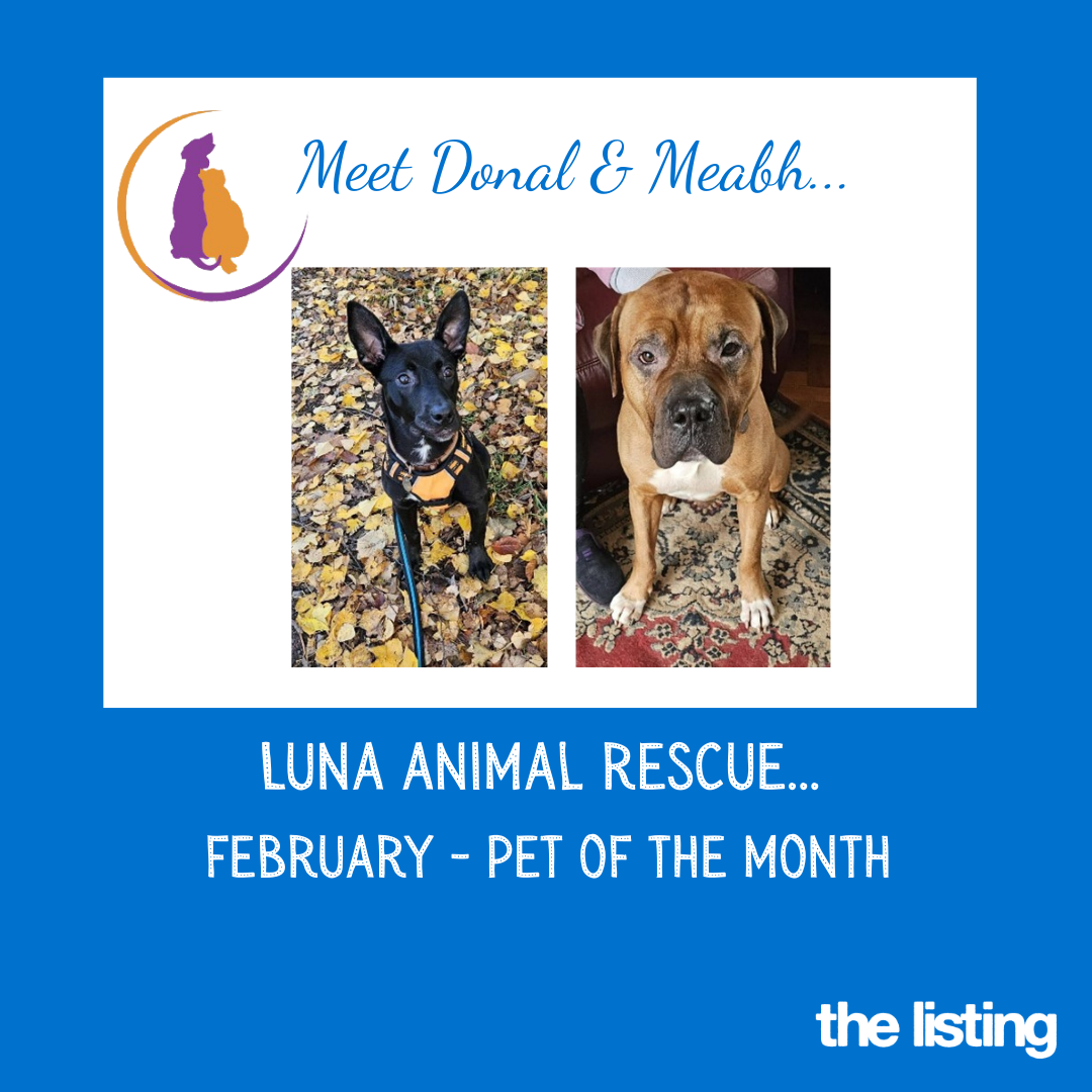 Luna February Pet of the Month… Meet Donal & Meabh