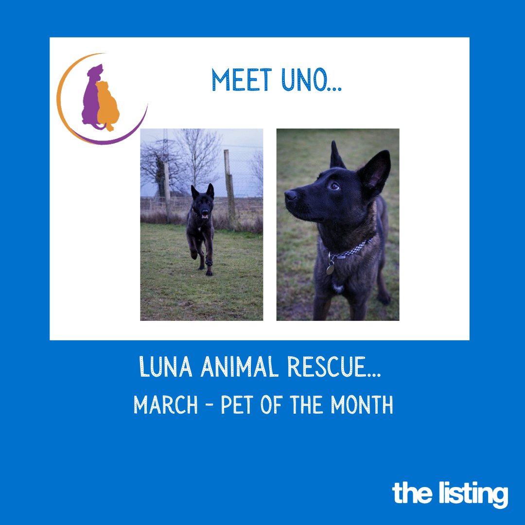 Luna March Pet of the Month… Meet Uno!