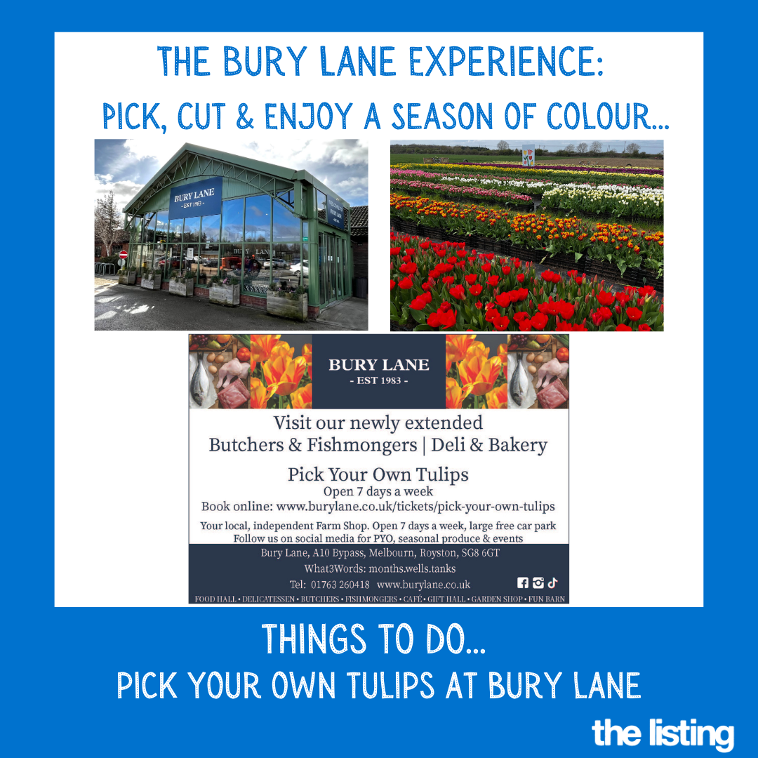 Business News: Pick Your Own Tulips at Bury Lane