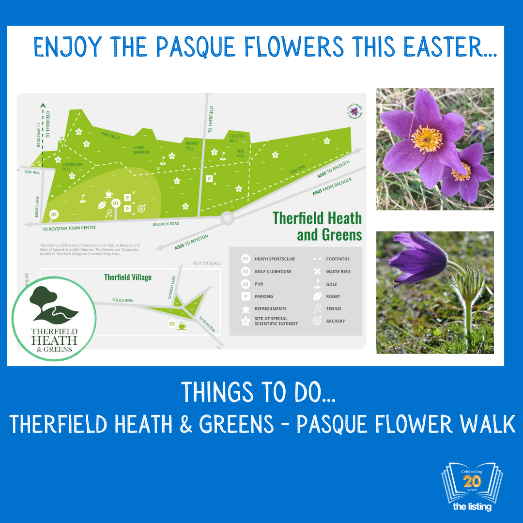 Community News: Pasque Flower Walk