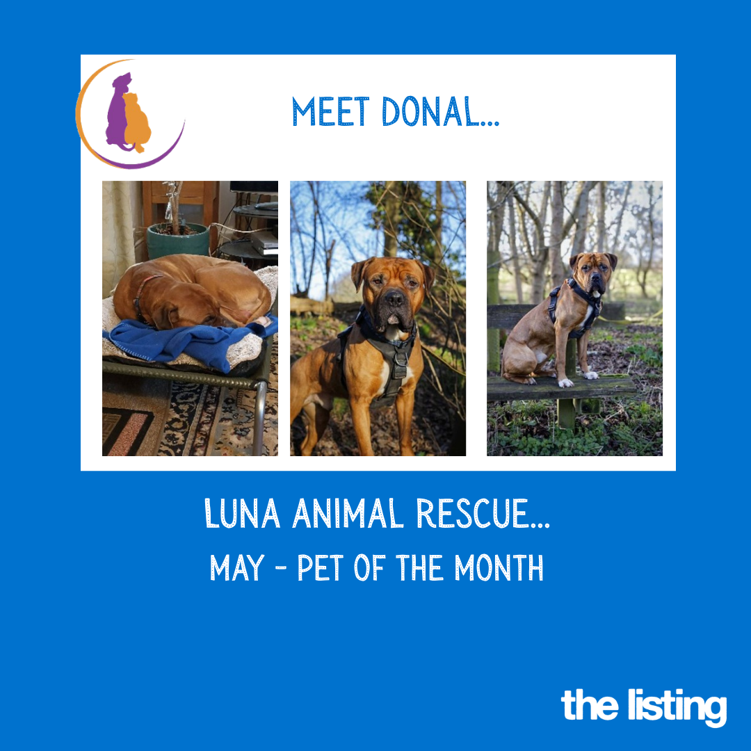 Luna April Pet of the Month… Meet Donal