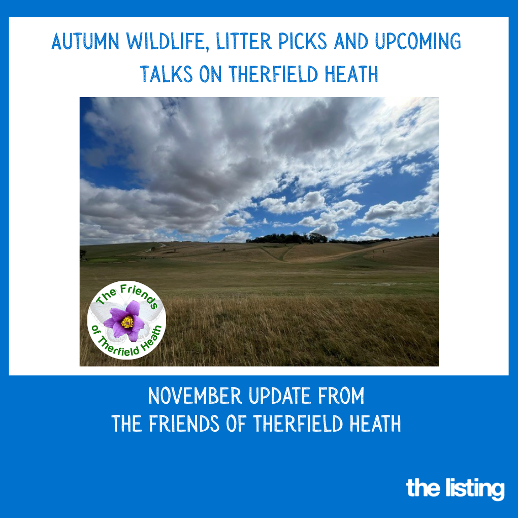 Community News: November Update from The Friends of Therfield Heath