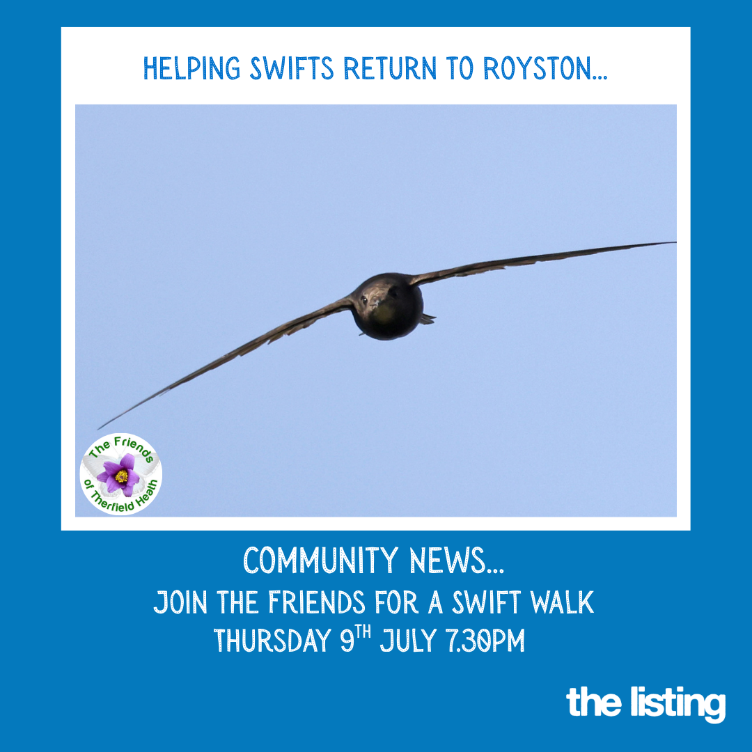 Community News: The Friends of Therfield Heath – Swift Walk & Nesting Boxes