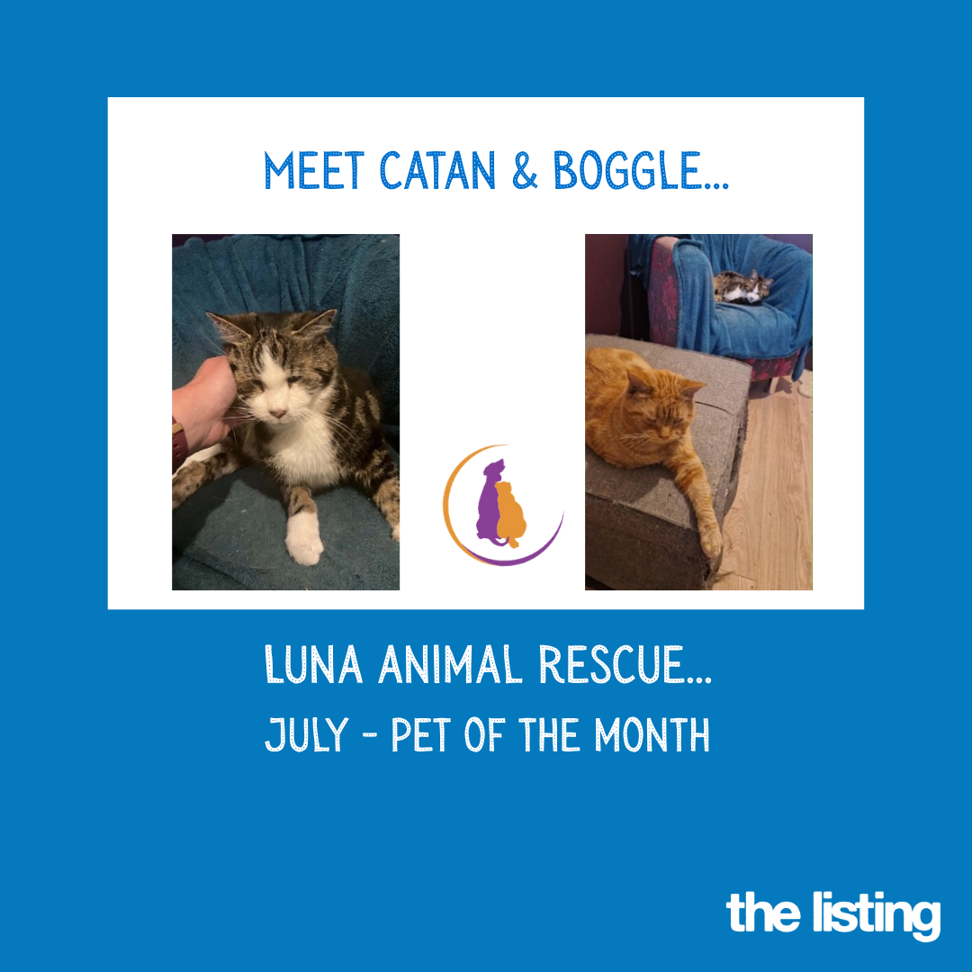 Luna July Pet of the Month… Meet Catan & Boggie