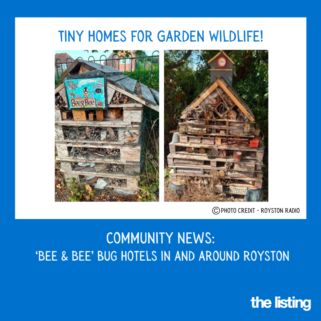 Community News: Bug Hotels