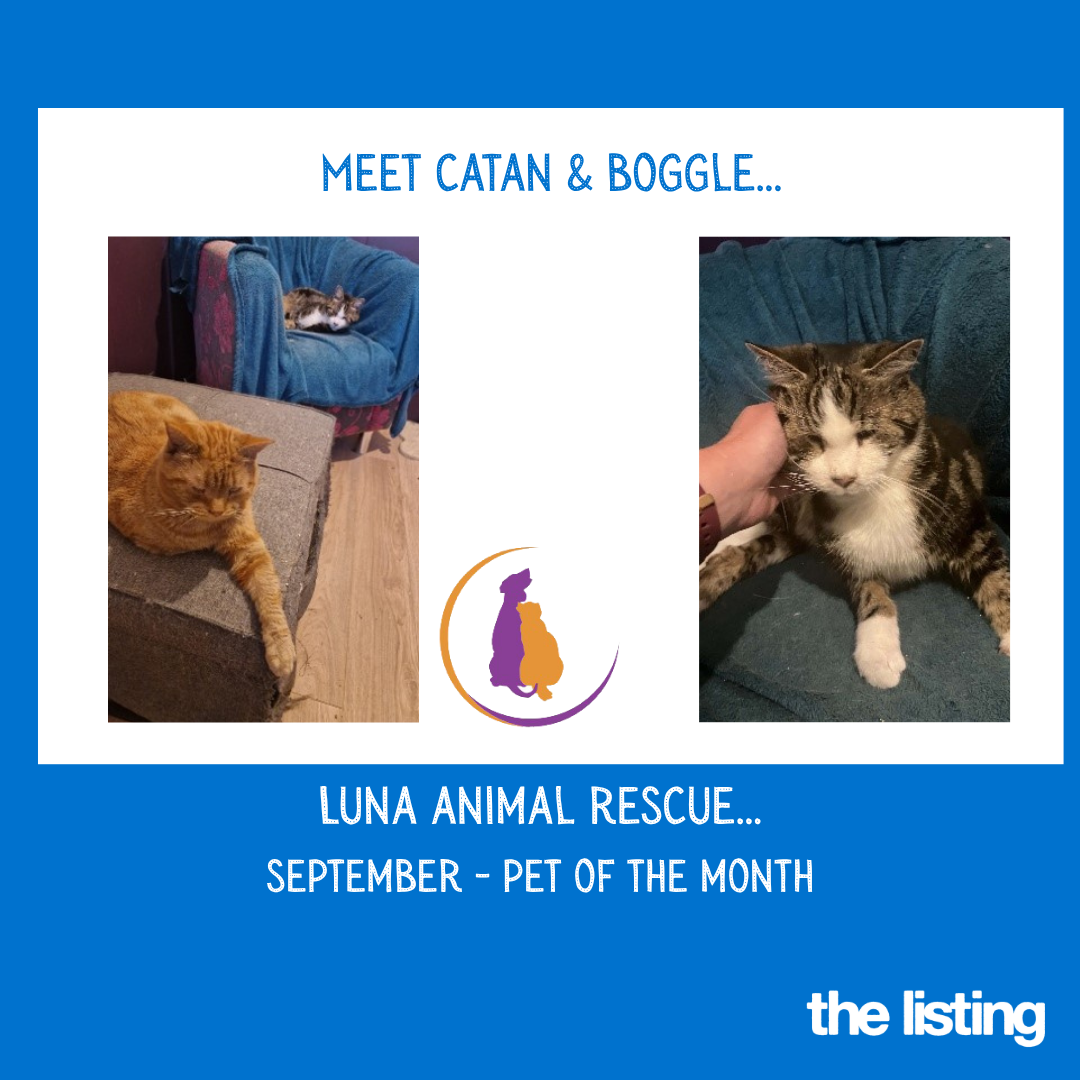 Luna September Pet of the Month… Meet Catan & Boggie
