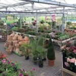 Arrington Garden Centre Arrington Garden Centre