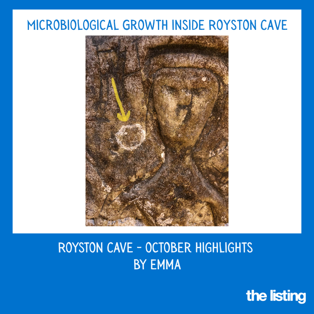Royston Cave: Microbiological Growth in Royston Cave