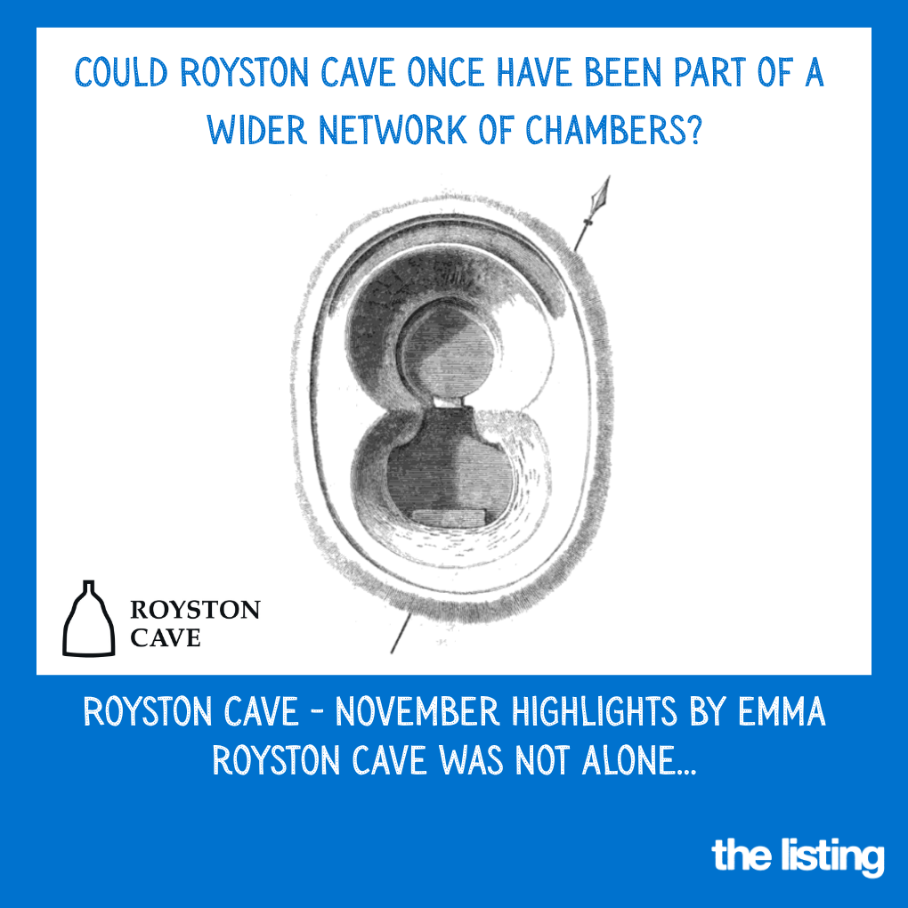 Royston Cave November Update: Royston Cave Was Not Alone?
