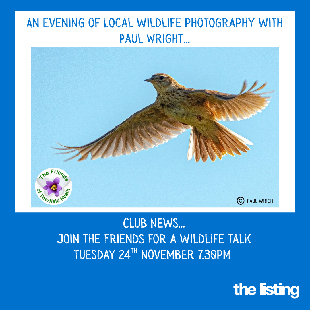 Community News: Royston Wildlife Group